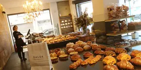 Programa online para tiendas y pastelerías Dalua - Elche, Alicante